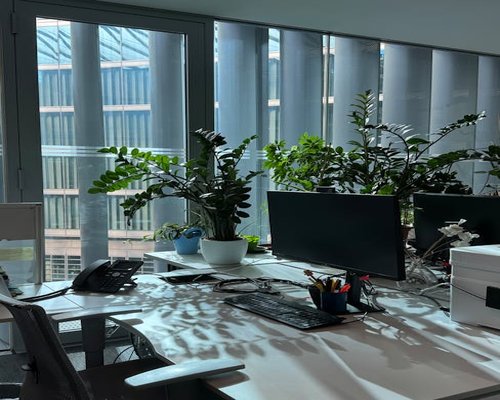 A clean administrative office interior with plants and natural lighting